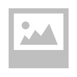 Toy Company